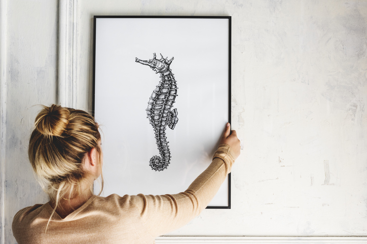 Photo of hand drawing seahorse is hanging on the wall